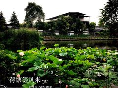 -黄龙溪古镇