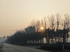 -刘土鸡家常菜