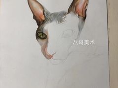 -八哥美术·成人美术画室(总校区)