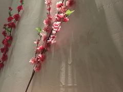 -大鲤深夜食堂