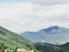 -灵山