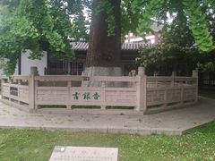 -常熟方塔园