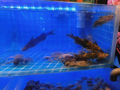 -千家粗粮王(MOMOPARK店)