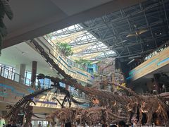 -安徽省地质博物馆