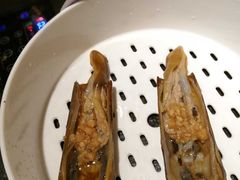 -苏大嘴海鲜牧场(奥林匹克店)