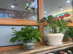 -直隶安家罩饼(复兴路店)