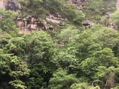 -泰宁旅游风景名胜区