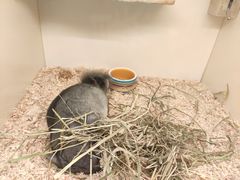 -龙猫仔乐园(惠福东路店)