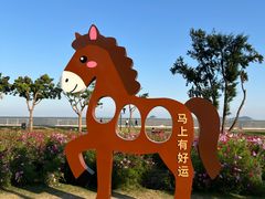 -野狸岛