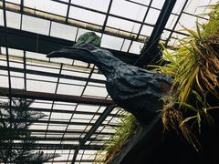-呀路古热带植物园