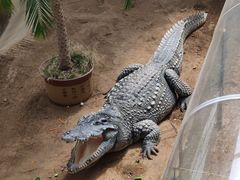 -西霞口神雕山野生动物世界