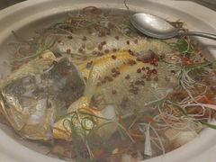 -港湾一号美食水疗会