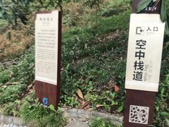 -中国黔江城市大峡谷
