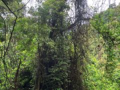 -飞霞风景名胜区