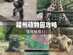 -格蕾宠物医院24H·猫科·肿瘤科·骨科中心(福州总院)