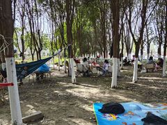 -西安汉城湖景区