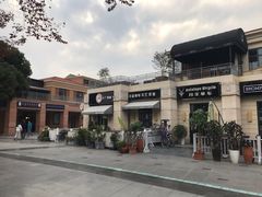 -吉丁鸟咖·异宠·寄养