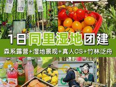 -同里国家湿地公园