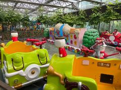 -南宫五洲植物乐园