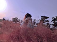 -映月湖中央公园