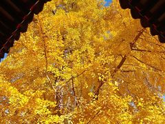 -承恩寺