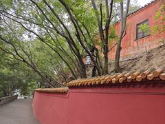 -白帝城·瞿塘峡景区