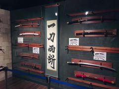 -东京塔海贼王主题公园