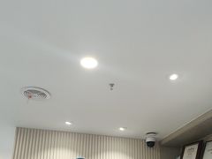 -宠物星动物医院·眼科·异宠·猫科(江南大道总院)