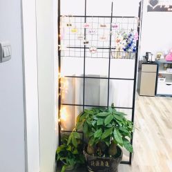 -7嘉nail eyelash·美甲美睫