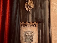 -雪灵魔法世界SHELLY’S TAROT(大良桂畔里店)
