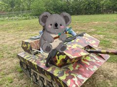 -上海长兴岛郊野公园