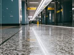 -大龙山(地铁站)