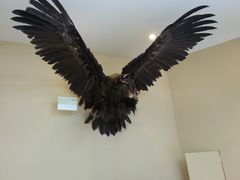 -亿利库布其七星湖沙漠生态旅游区