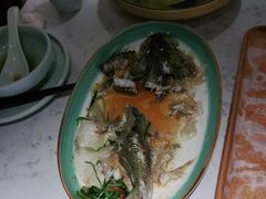 -大榕树下顺德菜(融创茂店)