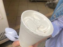 -洪馨椰子
