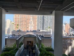 -香港大学