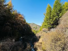 -苏木山森林公园