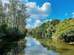 -溱湖国家湿地公园