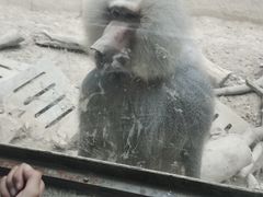 -福州动物园