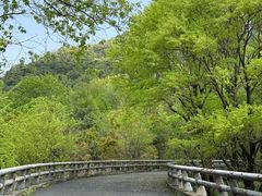 -西湖风景区-江洋畈生态公园