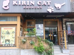 -十年猫舍·猫咪专门店(普陀店)