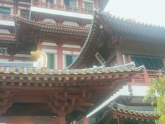 -新加坡佛牙寺龙华院
