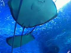 -多彩贵州城极地海洋世界