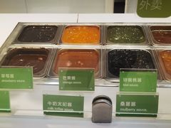 -Salud撒露欧洲冻酸奶(蓝色港湾店)