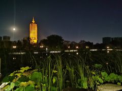 -西海子公园