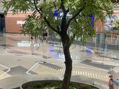 -君之狮子山·轻糖烘焙(松江印象城店)