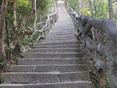 -梧桐山风景名胜区