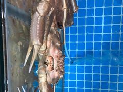 -前王院•巧克力海鲜市集餐厅(万平口店)