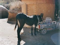 -梁家河村红色旅游区