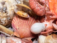 -大锅强·蒸海鲜青岛菜(吾悦广场店)